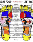 FOOT INSERTS. ACUPRESSURE POINTS - AIR RELAX